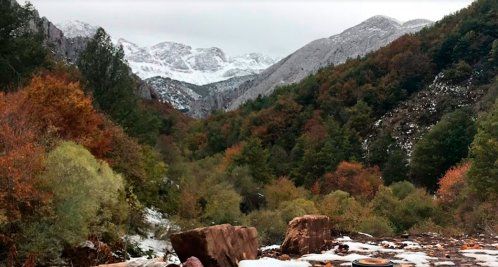 Los Argüellos Reserva de la Biosfera